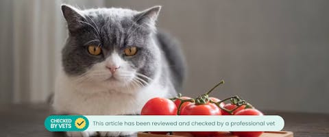Do cats top like tomatoes